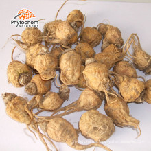 supplement herbal peru p.e natural root maca cordycepst